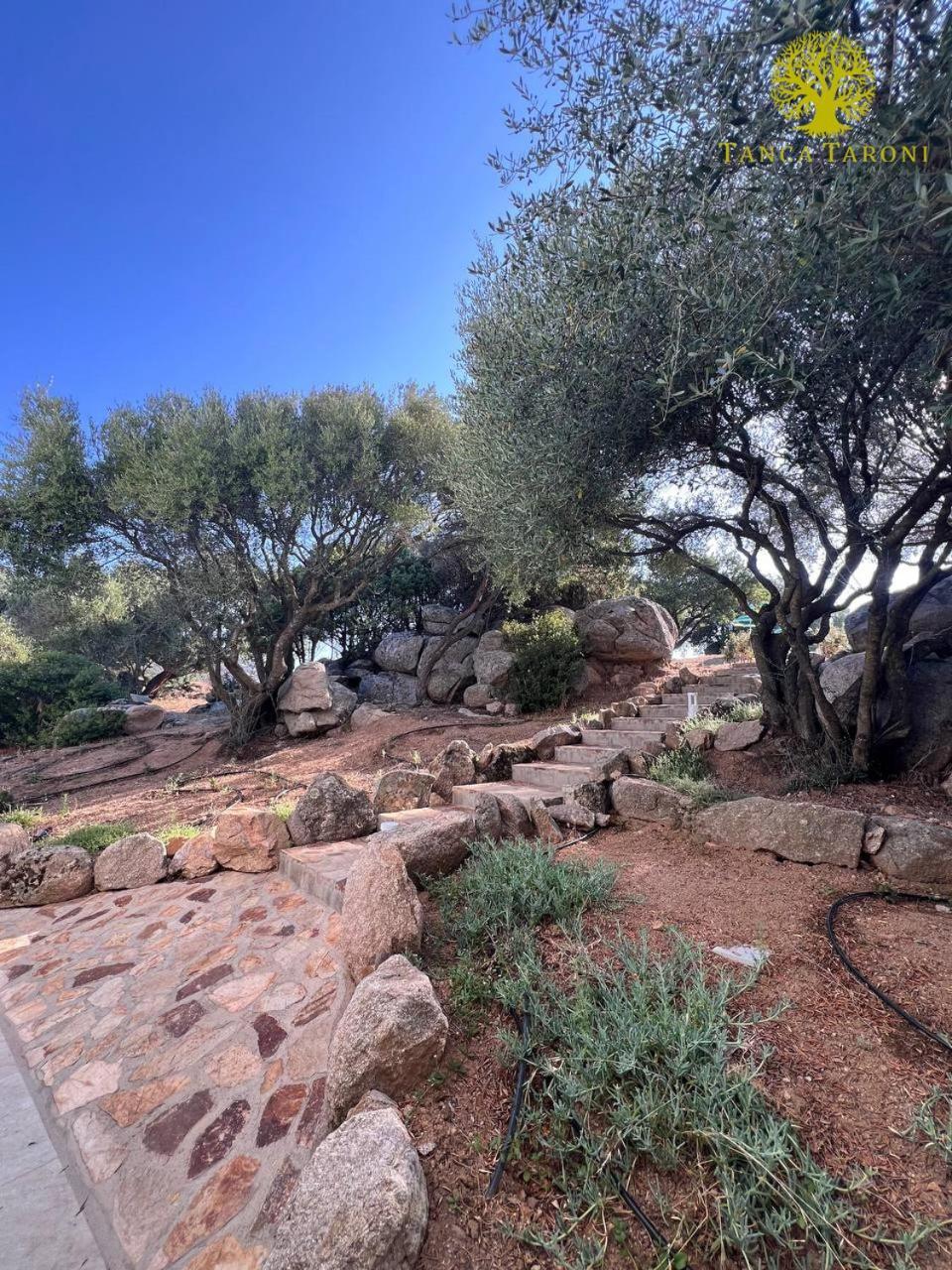 Agriturismo Bed And Breakfast Tanca Taroni Telti Εξωτερικό φωτογραφία