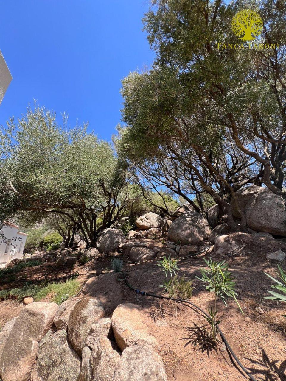 Agriturismo Bed And Breakfast Tanca Taroni Telti Εξωτερικό φωτογραφία