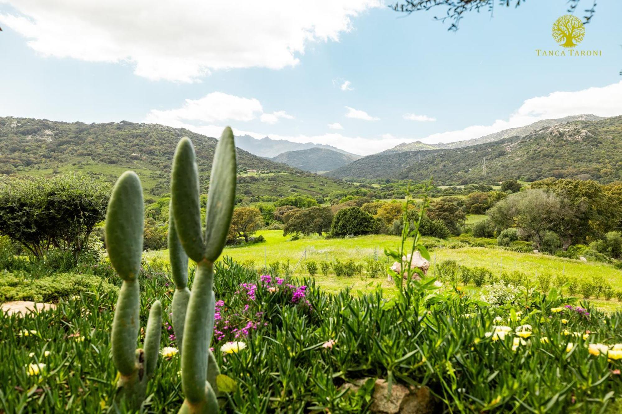 Agriturismo Bed And Breakfast Tanca Taroni Telti Εξωτερικό φωτογραφία