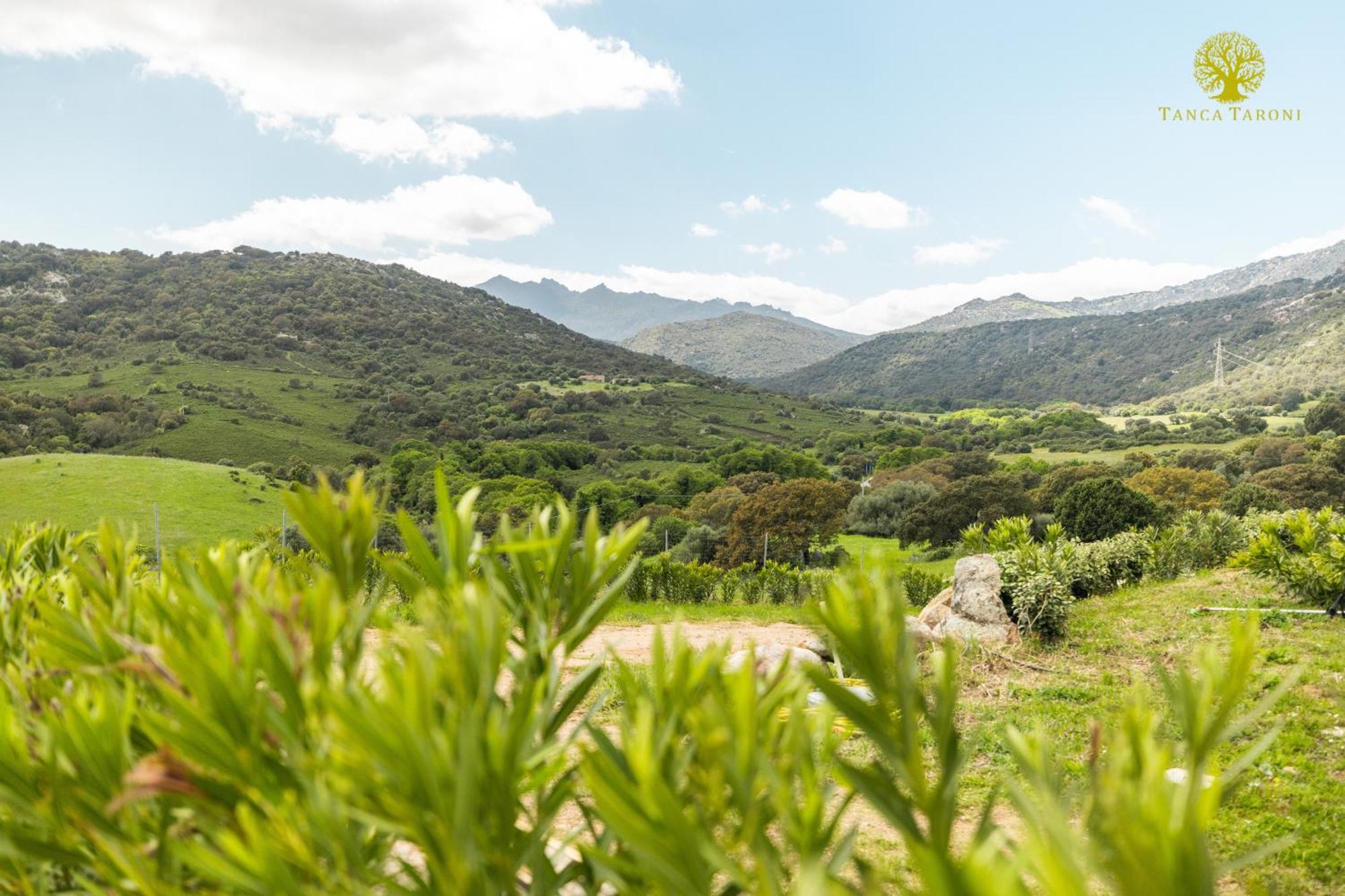 Agriturismo Bed And Breakfast Tanca Taroni Telti Εξωτερικό φωτογραφία