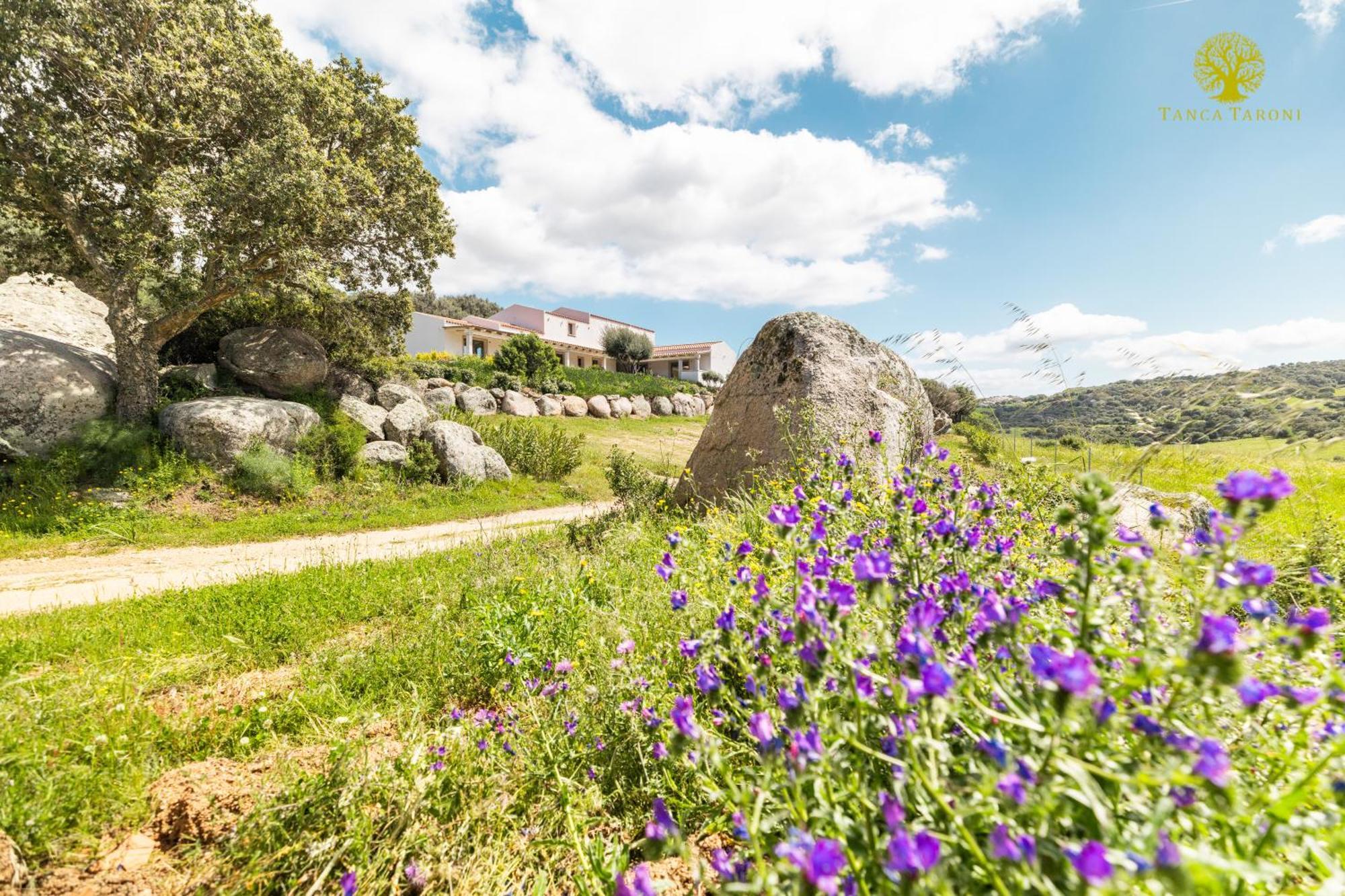 Agriturismo Bed And Breakfast Tanca Taroni Telti Εξωτερικό φωτογραφία