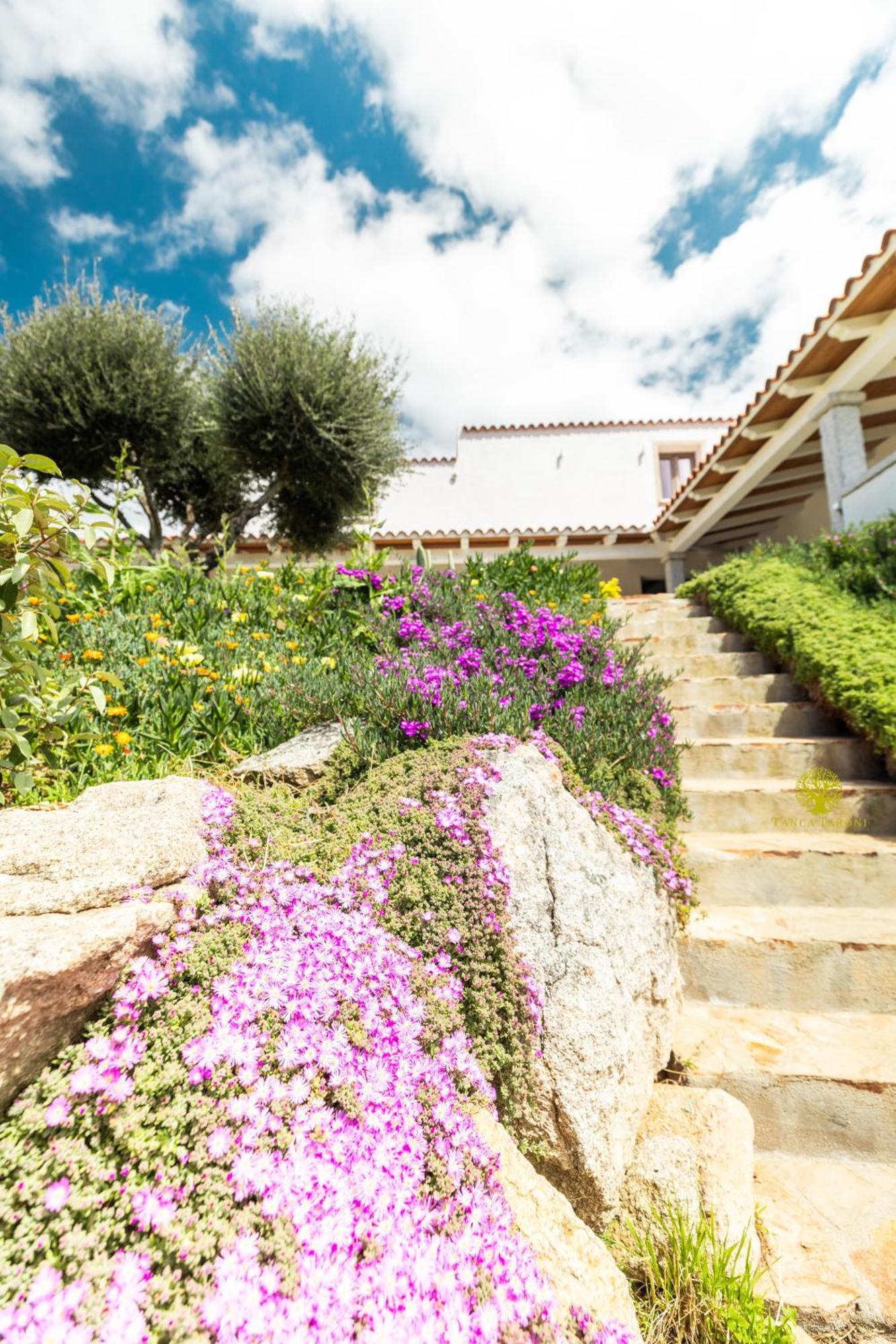 Agriturismo Bed And Breakfast Tanca Taroni Telti Εξωτερικό φωτογραφία